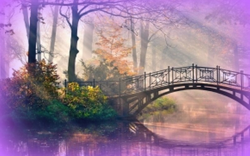 fronlahamm-river-of-movement